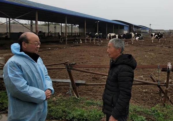 惠農網農技專家剛志敏：在線問答+視頻課+農技直播讓家豬變“金豬”